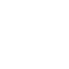 Ads Icon