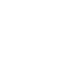 Budget Icon